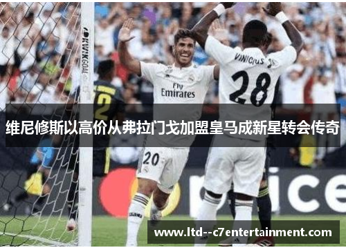 维尼修斯以高价从弗拉门戈加盟皇马成新星转会传奇